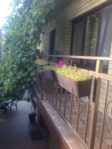 Guest House Romalina in Anapa Guest House Romalina in Anapa