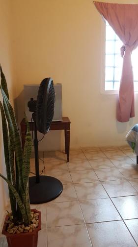 This photo about Casa Ricky's shared on HyHotel.com