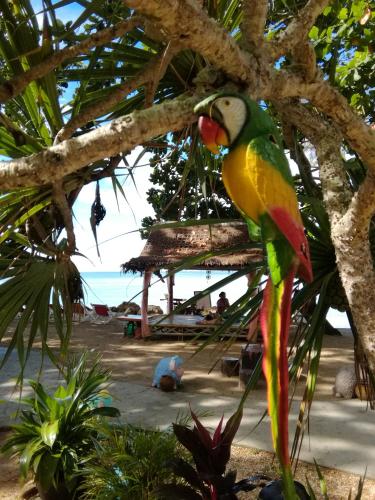 アンダマン ビーチ リゾート15