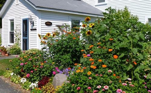 grădină, Bar Harbor Cottages & Suites in Bar Harbor (ME) grădină, Bar Harbor Cottages & Suites in Bar Harbor (ME)