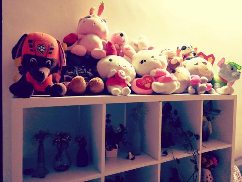 This photo about Wuhan Yoyo Youth Hostel shared on HyHotel.com