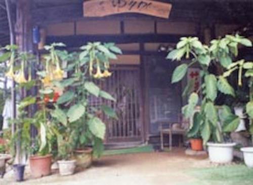 Entrance, Minshuku Yurika in Urugi Entrance, Minshuku Yurika in Urugi
