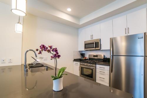Hotel Downtown Juno Apartment