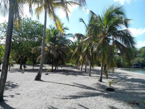 ranta, Madiana plage in Schœlcher ranta, Madiana plage in Schœlcher