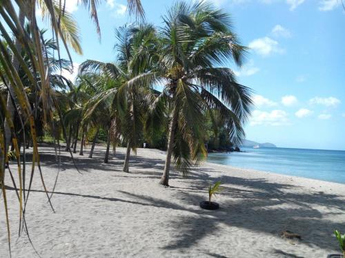 ranta, Madiana plage in Schœlcher ranta, Madiana plage in Schœlcher