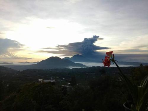 Bunbulan Hill Hostel and Villa