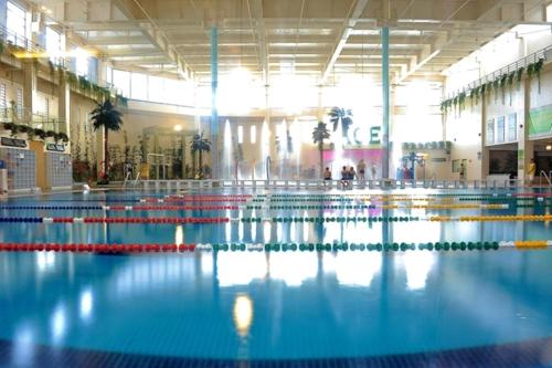 Swimming pool, Ace Hotel & Suites in Pasig Swimming pool, Ace Hotel & Suites in Pasig