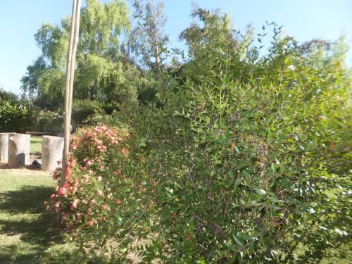 This photo about Hotel Pirque shared on HyHotel.com