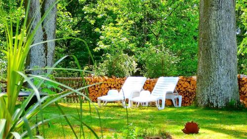 tuin, Pension Waldfriede in Bad Tatzmannsdorf tuin, Pension Waldfriede in Bad Tatzmannsdorf
