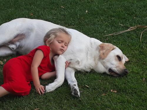 This photo about Caxton Manor B&B shared on HyHotel.com