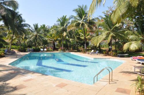 Swimming pool, Villa Mayfair near Betul Beach Swimming pool, Villa Mayfair near Betul Beach