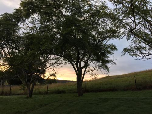 Ponytail Farmhouse 
Ponytail Farmhouse