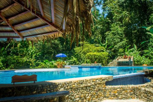 Swimming pool, The Goddess Garden Eco-Resort in Cahuita Swimming pool, The Goddess Garden Eco-Resort in Cahuita