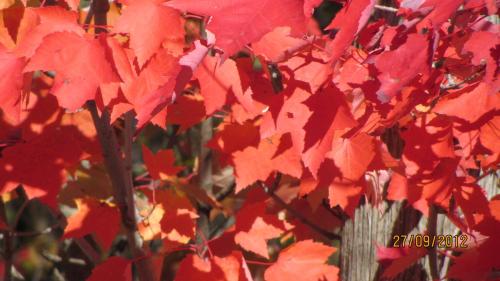 This photo about Au Beau Soleil shared on HyHotel.com