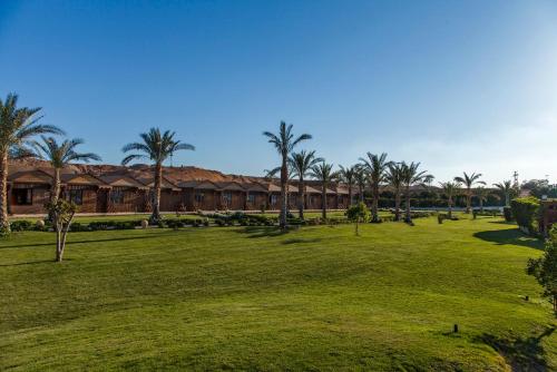 Vedere, Xperience Golden Sandy Beach in Sharm El Sheikh Vedere, Xperience Golden Sandy Beach in Sharm El Sheikh