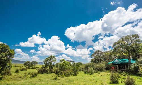 Losokwan Luxury Tented Camp - Maasai Mara in Narok Losokwan Luxury Tented Camp - Maasai Mara in Narok