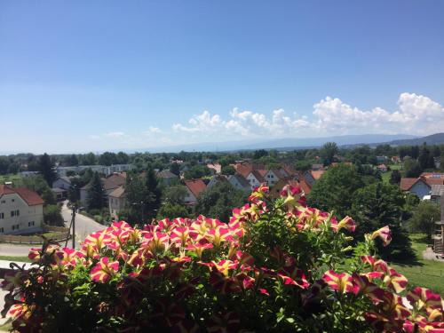 Komfortables Appartement/Garconniere in Graz fur Urlaub und Geschaftsreisen in Liebenau Komfortables Appartement/Garconniere in Graz fur Urlaub und Geschaftsreisen in Liebenau