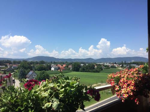 Komfortables Appartement/Garconniere in Graz fur Urlaub und Geschaftsreisen in Liebenau Komfortables Appartement/Garconniere in Graz fur Urlaub und Geschaftsreisen in Liebenau
