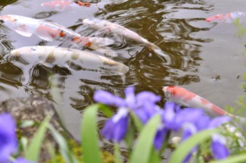 This photo about Kiriya Ryokan shared on HyHotel.com