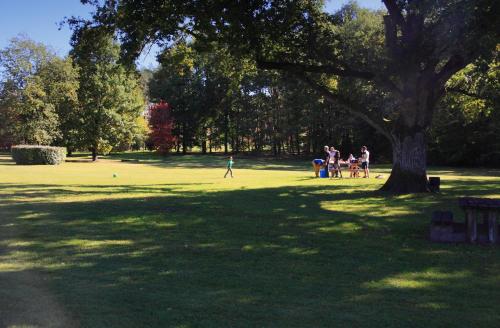 Garden, Les Chalets De Mur De Sologne in Mur-De-Sologne Garden, Les Chalets De Mur De Sologne in Mur-De-Sologne