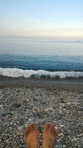 This photo about Sweet Cotton Candy shared on HyHotel.com