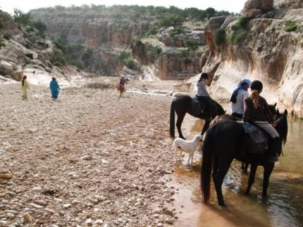 Appartement Vacances Plage
Appartement Vacances Plage