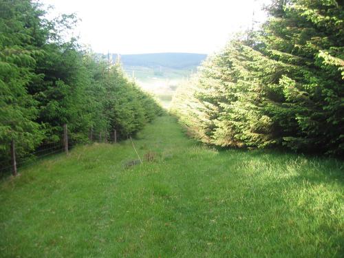 Surrounding environment, The Dales in Gorey Surrounding environment, The Dales in Gorey