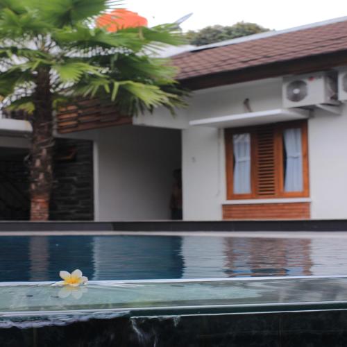 Bedjo - Dasinem
Bedjo - Dasinem