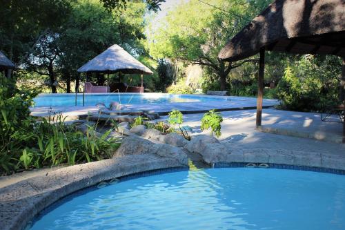 Swimming pool, Island Safari Lodge in Maun Swimming pool, Island Safari Lodge in Maun