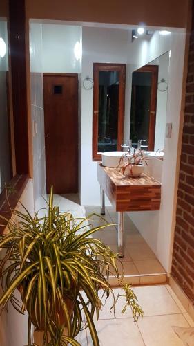 화장실, Accueillant Auberge Salta in 살타 화장실, Accueillant Auberge Salta in 살타