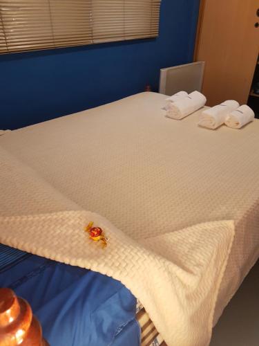 시설, Accueillant Auberge Salta in 살타 시설, Accueillant Auberge Salta in 살타