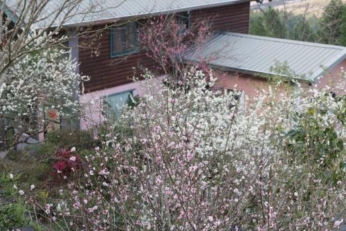 Old Farmer Homestay in Wufeng Township Old Farmer Homestay in Wufeng Township