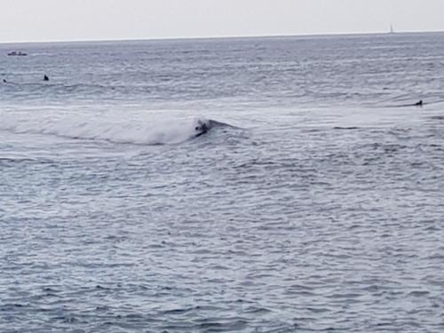 This photo about Torres de Yomely shared on HyHotel.com