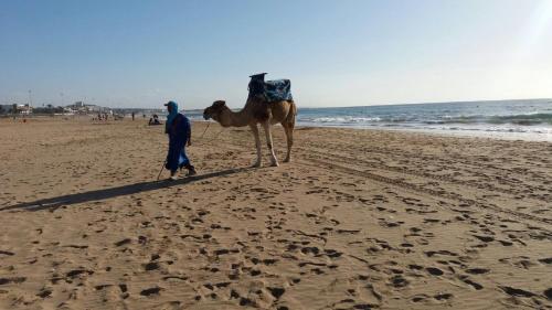 해변, Appartement Agadir in 벤세르고 해변, Appartement Agadir in 벤세르고