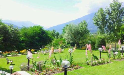 This photo about Forest Hill Resorts shared on HyHotel.com