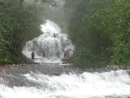Cassells Jungle Resorts Thekkady in Periyar Cassells Jungle Resorts Thekkady in Periyar