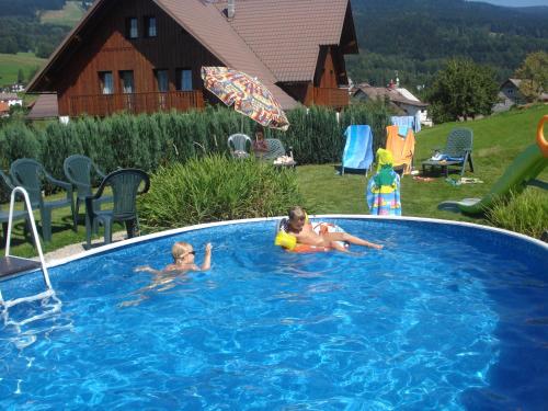 Swimming pool, Penzion Seidl in Dolni Rokytnice Swimming pool, Penzion Seidl in Dolni Rokytnice