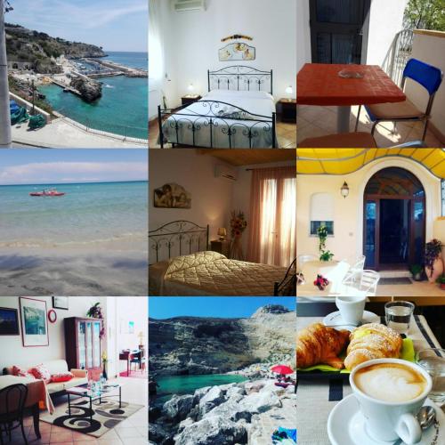 This photo about Li Pusciai shared on HyHotel.com