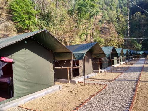 Jungle Stays in Chail Jungle Stays in Chail