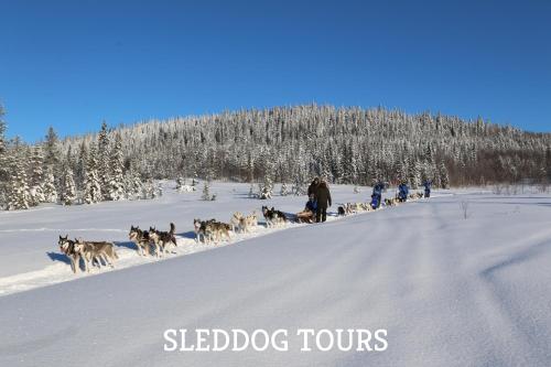 This photo about Doro Camp Lapland shared on HyHotel.com