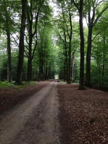 Recreatieoord Hippique in Westendorp Recreatieoord Hippique in Westendorp