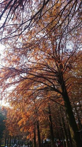 This photo about Baciao Yard shared on HyHotel.com