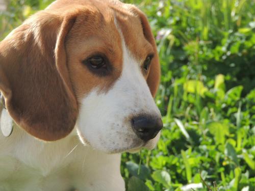 This photo about Hotel Rural Can Pujolet Ibiza shared on HyHotel.com