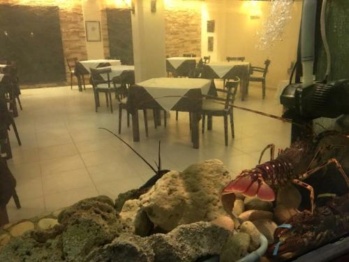 This photo about Hostal Capri shared on HyHotel.com