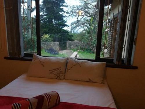 This photo about 7 On Kingfisher shared on HyHotel.com