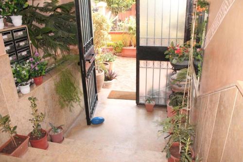 This photo about Appartement au coeur de Majorelle shared on HyHotel.com