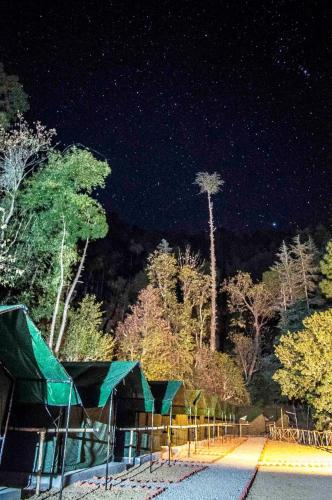 Jungle Stays in Chail Jungle Stays in Chail