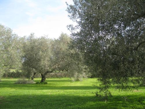 B&B Sa Ingia in Sardinia B&B Sa Ingia in Sardinia