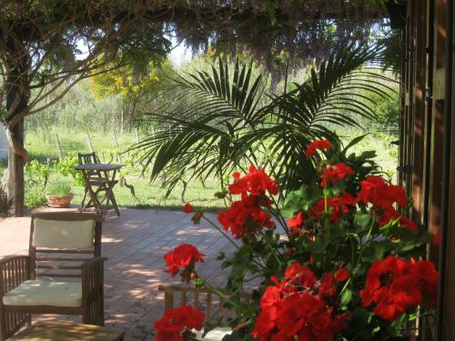 B&B Sa Ingia in Sardinia B&B Sa Ingia in Sardinia