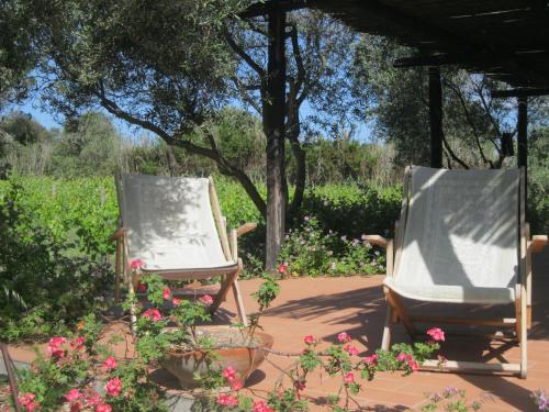 B&B Sa Ingia in Sardinia B&B Sa Ingia in Sardinia